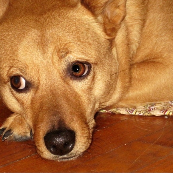 Meet your Posher, Megan - Picture 3 of 3